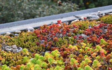 the cost of Shutlanger green roof installation