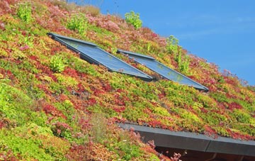 Shutlanger living roof systems